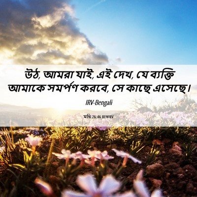 Picture 06 - মথি 26:46 BENIRV - উঠ, আমরা যাই, এই দেখ, - Bible Verse Picture