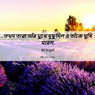 Picture 06 - মথি 26:67 BENIRV - তখন তারা তাঁর মুখে - Bible Verse Picture