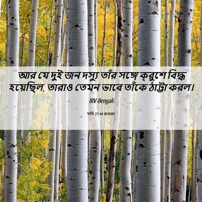 Picture 06 - মথি 27:44 BENIRV - আর যে দুই জন দস্যু - Bible Verse Picture