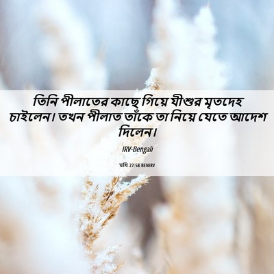 Picture 06 - মথি 27:58 BENIRV - তিনি পীলাতের কাছে - Bible Verse Picture