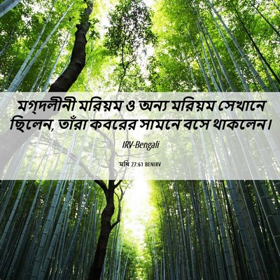Picture 06 - মথি 27:61 BENIRV - মগ্দলীনী মরিয়ম ও - Bible Verse Picture