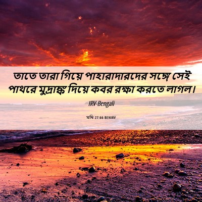 Picture 06 - মথি 27:66 BENIRV - তাতে তারা গিয়ে - Bible Verse Picture
