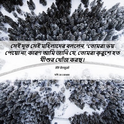 Picture 06 - মথি 28:5 BENIRV - সেই দূত সেই - Bible Verse Picture