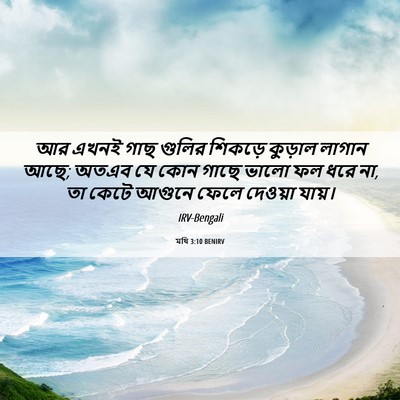 Picture 06 - মথি 3:10 BENIRV - আর এখনই গাছ গুলির - Bible Verse Picture