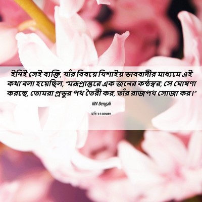 Picture 06 - মথি 3:3 BENIRV - ইনিই সেই ব্যক্তি, - Bible Verse Picture