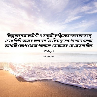Picture 06 - মথি 3:7 BENIRV - কিন্তু অনেক ফরীশী - Bible Verse Picture