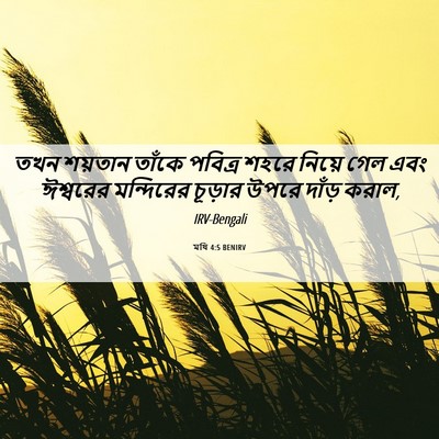 Picture 06 - মথি 4:5 BENIRV - তখন শয়তান তাঁকে - Bible Verse Picture