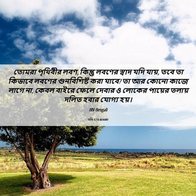 Picture 06 - মথি 5:13 BENIRV - তোমরা পৃথিবীর লবণ, - Bible Verse Picture