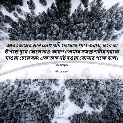 Picture 06 - মথি 5:29 BENIRV - আর তোমার ডান চোখ - Bible Verse Picture