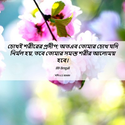 Picture 06 - মথি 6:22 BENIRV - চোখই শরীরের - Bible Verse Picture