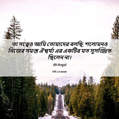 Picture 06 - মথি 6:29 BENIRV - তা সত্বেও আমি - Bible Verse Picture