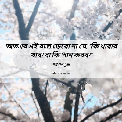 Picture 06 - মথি 6:31 BENIRV - অতএব এই বলে ভেবো না - Bible Verse Picture