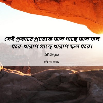 Picture 06 - মথি 7:17 BENIRV - সেই প্রকারে - Bible Verse Picture