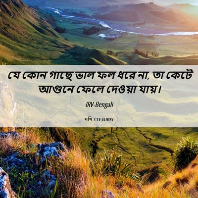 Picture 06 - মথি 7:19 BENIRV - যে কোন গাছে ভাল ফল - Bible Verse Picture