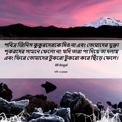 Picture 06 - মথি 7:6 BENIRV - পবিত্র জিনিস - Bible Verse Picture