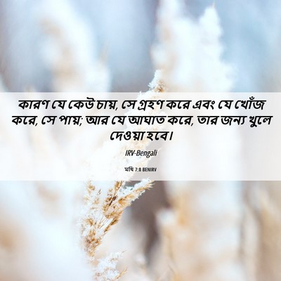 Picture 06 - মথি 7:8 BENIRV - কারণ যে কেউ চায়, - Bible Verse Picture