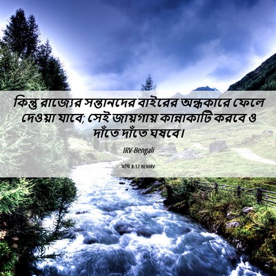 Picture 06 - মথি 8:12 BENIRV - কিন্তু রাজ্যের - Bible Verse Picture