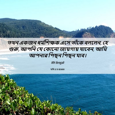 Picture 06 - মথি 8:19 BENIRV - তখন একজন - Bible Verse Picture