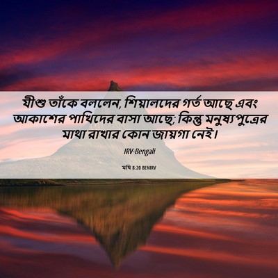 Picture 06 - মথি 8:20 BENIRV - যীশু তাঁকে বললেন, - Bible Verse Picture