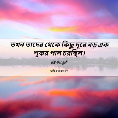 Picture 06 - মথি 8:30 BENIRV - তখন তাদের থেকে - Bible Verse Picture
