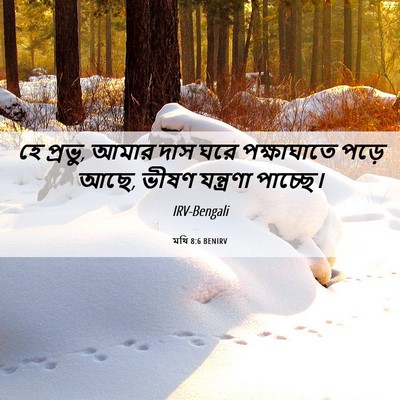 Picture 06 - মথি 8:6 BENIRV - হে প্রভু, আমার দাস - Bible Verse Picture