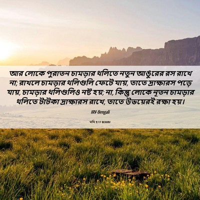 Picture 06 - মথি 9:17 BENIRV - আর লোকে পুরাতন - Bible Verse Picture