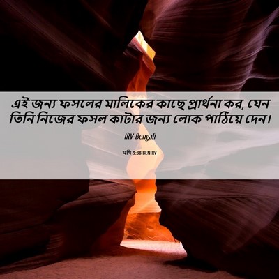 Picture 06 - মথি 9:38 BENIRV - এই জন্য ফসলের - Bible Verse Picture