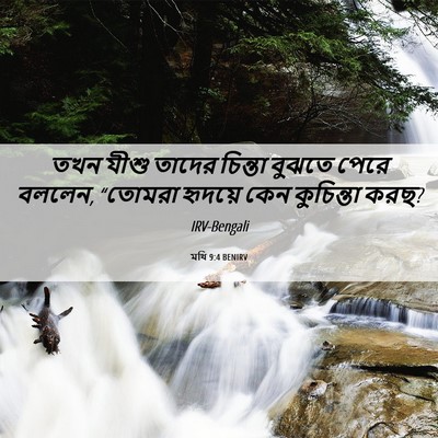 Picture 06 - মথি 9:4 BENIRV - তখন যীশু তাদের - Bible Verse Picture