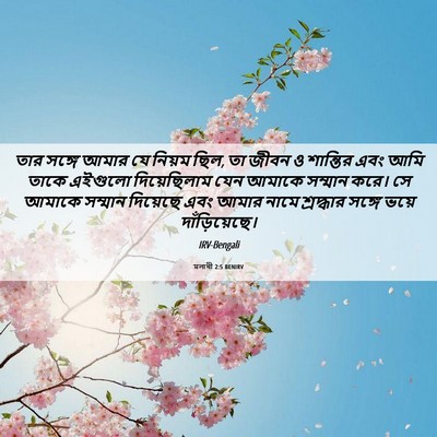 Picture 06 - মলাখী 2:5 BENIRV - তার সঙ্গে আমার যে - Bible Verse Picture