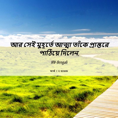 Picture 06 - মার্ক 1:12 BENIRV - আর সেই মুহূর্তে - Bible Verse Picture