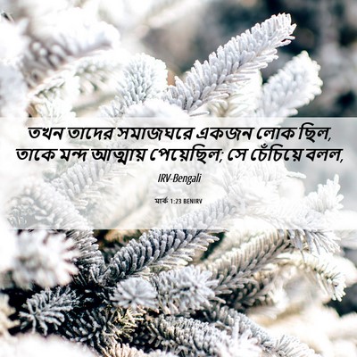 Picture 06 - মার্ক 1:23 BENIRV - তখন তাদের সমাজঘরে - Bible Verse Picture