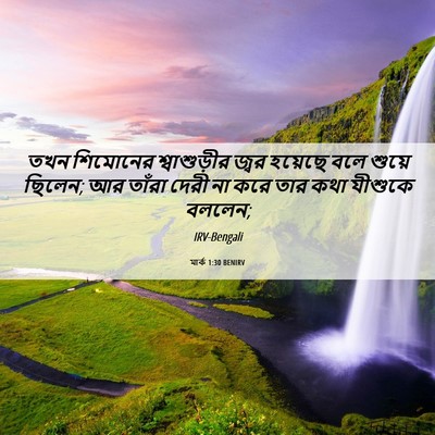 Picture 06 - মার্ক 1:30 BENIRV - তখন শিমোনের - Bible Verse Picture