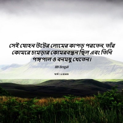 Picture 06 - মার্ক 1:6 BENIRV - সেই যোহন উটের - Bible Verse Picture