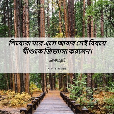 Picture 06 - মার্ক 10:10 BENIRV - শিষ্যেরা ঘরে এসে - Bible Verse Picture