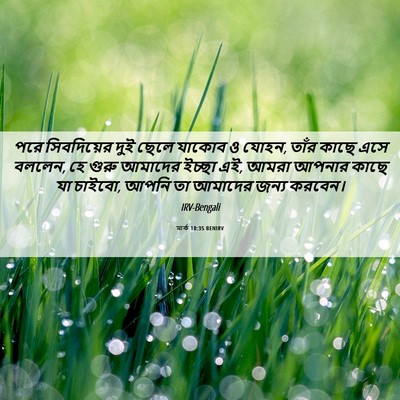 Picture 06 - মার্ক 10:35 BENIRV - পরে সিবদিয়ের দুই - Bible Verse Picture
