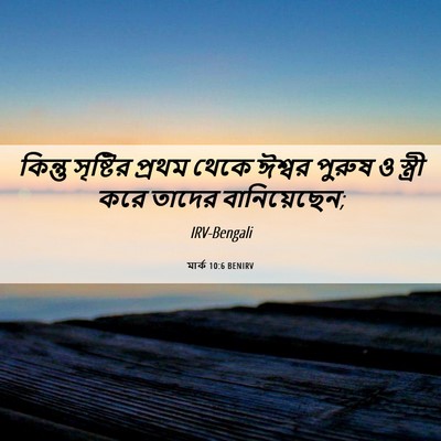 Picture 06 - মার্ক 10:6 BENIRV - কিন্তু সৃষ্টির - Bible Verse Picture