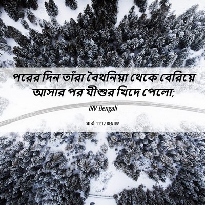 Picture 06 - মার্ক 11:12 BENIRV - পরের দিন তাঁরা - Bible Verse Picture