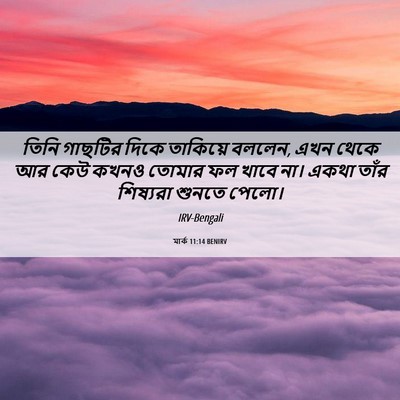 Picture 06 - মার্ক 11:14 BENIRV - তিনি গাছটির দিকে - Bible Verse Picture