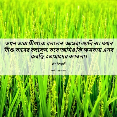Picture 06 - মার্ক 11:33 BENIRV - তখন তারা যীশুকে - Bible Verse Picture