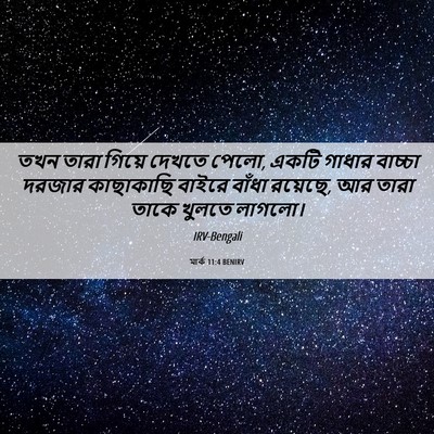 Picture 06 - মার্ক 11:4 BENIRV - তখন তারা গিয়ে - Bible Verse Picture