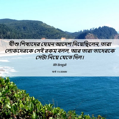 Picture 06 - মার্ক 11:6 BENIRV - যীশু শিষ্যদের - Bible Verse Picture