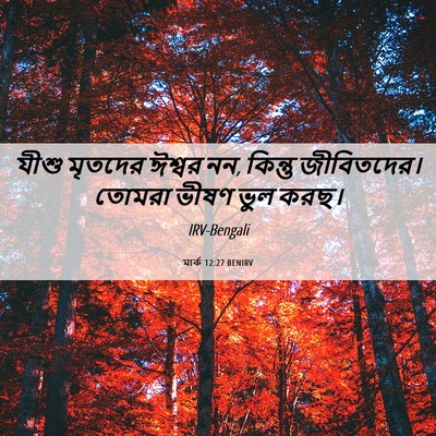 Picture 06 - মার্ক 12:27 BENIRV - যীশু মৃতদের ঈশ্বর - Bible Verse Picture
