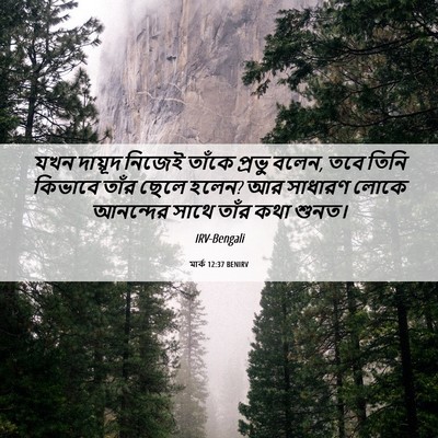 Picture 06 - মার্ক 12:37 BENIRV - যখন দায়ূদ নিজেই - Bible Verse Picture