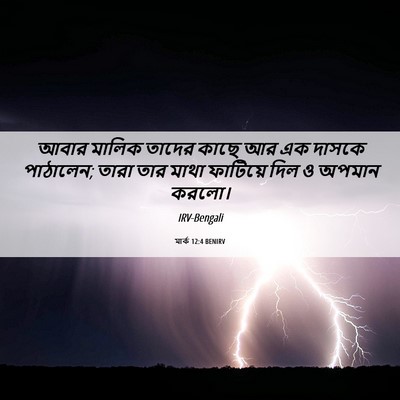 Picture 06 - মার্ক 12:4 BENIRV - আবার মালিক তাদের - Bible Verse Picture