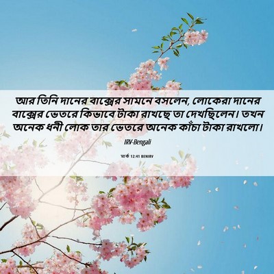 Picture 06 - মার্ক 12:41 BENIRV - আর তিনি দানের - Bible Verse Picture