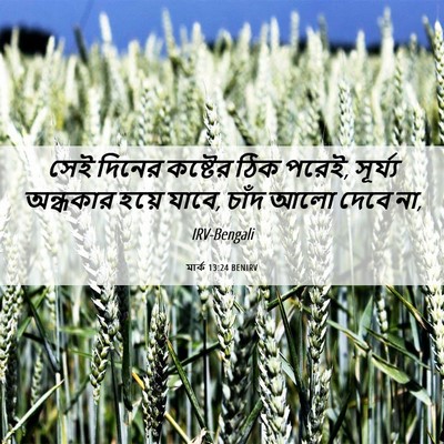 Picture 06 - মার্ক 13:24 BENIRV - সেই দিনের কষ্টের - Bible Verse Picture