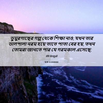 Picture 06 - মার্ক 13:28 BENIRV - ডুমুরগাছের গল্প - Bible Verse Picture