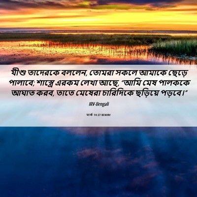Picture 06 - মার্ক 14:27 BENIRV - যীশু তাদেরকে - Bible Verse Picture