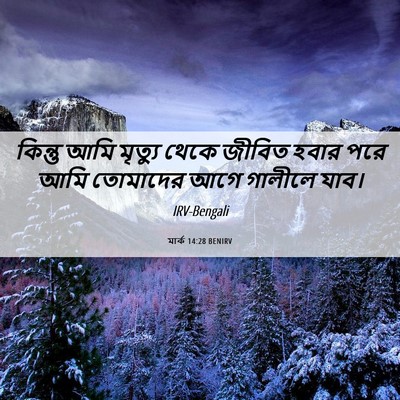 Picture 06 - মার্ক 14:28 BENIRV - কিন্তু আমি মৃত্যু - Bible Verse Picture