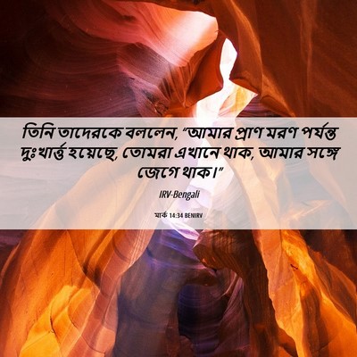 Picture 06 - মার্ক 14:34 BENIRV - তিনি তাদেরকে - Bible Verse Picture